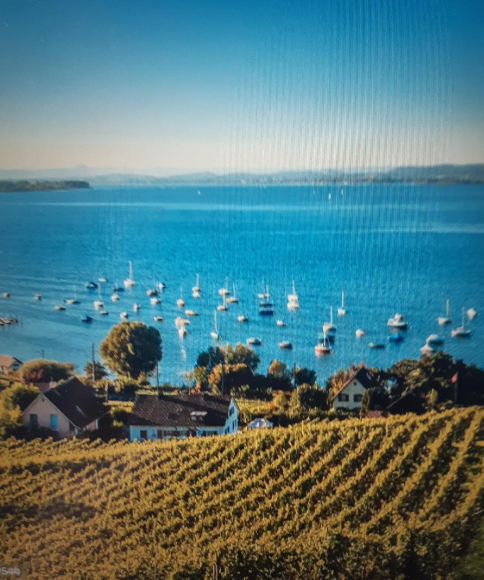 Ferienzentrum Bodensee Oberteuringen 外观 照片